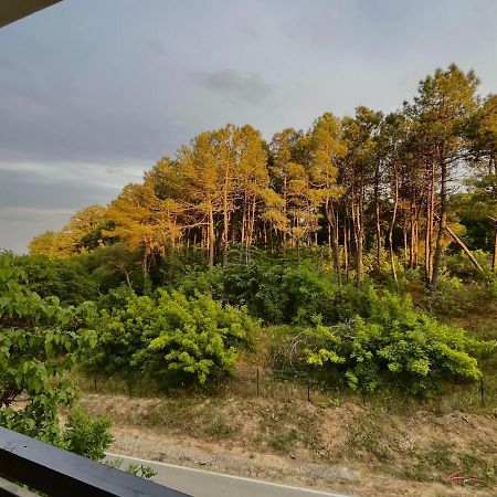 One Bedroom Apartment In G Life Sozopol Esterno foto